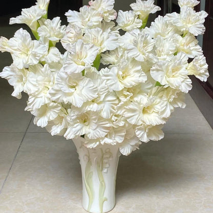 50% OFF🔥|Gladiolus Bulbs-Perennial Cut Flower, Long Blooming, Easy to Grow