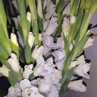 50% OFF🔥|Gladiolus Bulbs-Perennial Cut Flower, Long Blooming, Easy to Grow